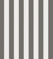 Обои Cole & Son Marquee Stripes арт-110-3016 — фото 1, Обои
