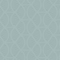 Обои York Candice Olson Modern Artisan 2 арт-CI2381 — фото 1, Обои