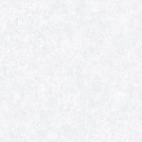 Обои Bernardo Bartalucci Bigi Флизелин (1,06*10) Белый, Штукатурка арт-5067-4 — фото 1, Обои