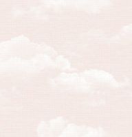 Обои Shinhan Dream World арт-A5119-1 — фото 1, Обои