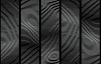 Обои Loymina Hypnose арт-F1115 — фото 1, Обои