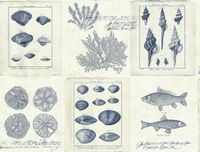 Обои KT-Exclusive Destination USA арт-TH50902 — фото 1, Обои