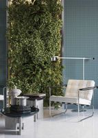 Товар: Обои Tiffany Designs Chance арт-KT9779-7506 - фото 4 Обои Tiffany Designs Chance арт-KT9779-7506 — фото 4, Обои