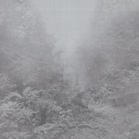 Товар: Обои Sirpi Armani Casa Precious Fibers 2 арт-GA4-9401 - фото 1 Обои Sirpi Armani Casa Precious Fibers 2 арт-GA4-9401 — фото 1, Обои