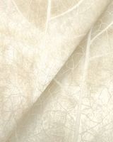 Обои York Candice Olson Natural Discovery арт-NT6145 — фото 2, Обои