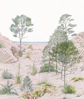 Обои Caselio Reliefs арт-106377039 — фото 1, Обои для стен