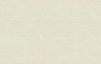 Обои Tiffany Designs Arcobaleno арт-RA300 — фото 1, Обои