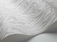 Обои Cole & Son Curio арт-107-1004 — фото 2, Обои