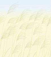 Обои Harlequin Kasuri арт-113230 — фото 1, Обои