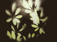 Фрески Wall Street GreenDay арт-23301 — фото 1, Фрески