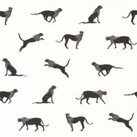 Обои Caselio Moonlight арт-101140096 — фото 1, Обои для стен