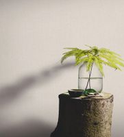 Обои 923 58412 4 Earth Melissa арт. арт-ER10359-38 — фото 2, Обои