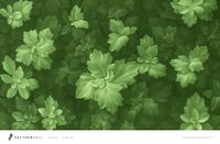 Товар: Фрески Fresq Pattern Roll арт-MINT42-06 - фото 1 Фрески Fresq Pattern Roll арт-MINT42-06 — фото 1, Фрески