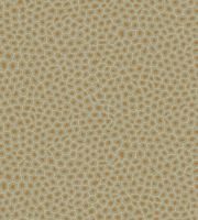 Обои Cole & Son The Ardmore Collection арт-109-6029 — фото 1, Обои