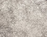 Обои Designers Guild Castellani арт-P594-01 — фото 1, Обои