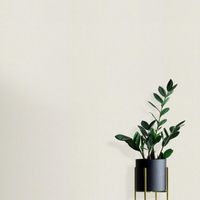 Обои 923 59105 Elle 4 арт. арт-ER12216-01 — фото 4, Обои