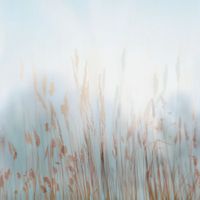 Фрески Affresco Trend Art арт-ZK420-COL2 — фото 1, Фрески