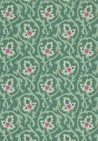 Обои Little Greene National Trust Papers 3 арт-0263HOPLEAT — фото 1, Обои