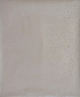 Обои Antonina Vella Modern Metals арт-NW3511 — фото 1, Обои