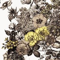 Обои Clarke & Clarke Floribunda арт-W0041-02 — фото 1, Обои