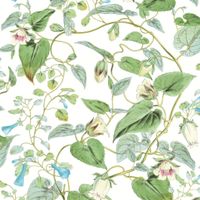 Обои York Blooms Second Edition арт-BL1711 — фото 1, Обои