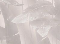 Фрески Applico Four арт-0058-S1 — фото 2, Фрески