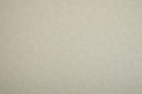 Обои NC Color арт-4050-070 — фото 1, Обои