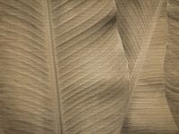 Фрески Affresco New Art арт-RE196-COL2 — фото 1, Фрески