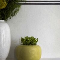 Обои Cole & Son Folie арт-99-11048 — фото 2, Обои