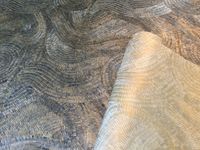 Обои Zoffany Phaedra арт-312599 — фото 2, Обои