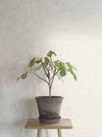 Товар: Обои Eco White & Light арт-7168 - фото 3 Обои Eco White & Light арт-7168 — фото 3, Обои