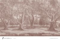 Фрески Fresq Pattern Roll арт-OAKS32-03 — фото 1, Фрески