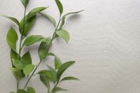 Обои Carl Robinson Edition 20 арт-CL50060 — фото 2, Обои