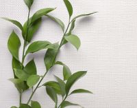 Обои Carl Robinson Edition 20 арт-CL50009 — фото 2, Обои