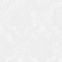 Обои Bernardo Bartalucci Carnazza Флизелин (1,06*10) Белый, Дамаск арт-5054-1 — фото 1, Обои