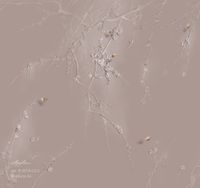 Фрески Applico Barelief Line арт-B0074-GL3 — фото 1, Фрески