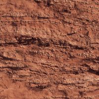 Товар: Обои Shinhan Natural арт-88633-1 - фото 1 Обои Shinhan Natural арт-88633-1 — фото 1, Обои