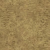 Обои Roberto Cavalli Home 7 арт-RC18084 — фото 1, Обои