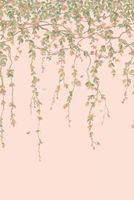 Обои Cole & Son Hummingbirds Cream арт-124-2009 — фото 2, Обои