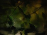 Фрески Wall Street GreenDay арт-23306 — фото 1, Фрески