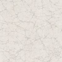 Товар: Обои Emiliana Parati Materica 1 Винил на флизелине (1,06*10,05) Серый/Серебряный, Мрамор/Под камень арт-73113 - фото 1 Обои Emiliana Parati Materica 1 Винил на флизелине (1,06*10,05) Серый/Серебряный, Мрамор/Под камень арт-73113 — фото 1, товары