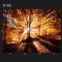 Обои Loymina Illusion арт-DF-002 — фото 2, Обои