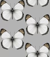 Обои Andrea Rossi Cheradi Винил на флизелине (1,06*10,05) Серый, Бабочки арт-54401-6 — фото 1, Обои для стен