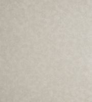 Обои Clarke & Clarke Reflection арт-W0056-05 — фото 1, Обои