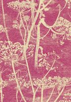 Обои Cole & Son Contemporary арт-66-7052 — фото 1, Обои