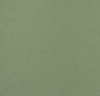 Обои Bernardo Bartalucci Legend Флизелин (1,06*10) Зеленый, Однотонные арт-5068-47 — фото 1, Обои