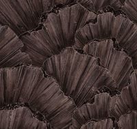 Обои Emil&Hugo Moana арт-300900 — фото 1, Обои