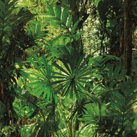 Товар: Обои Shinhan Natural арт-88639-1 - фото 1 Обои Shinhan Natural арт-88639-1 — фото 1, Обои