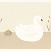 Обои Casadeco Rose n Nino арт-85511825 — фото 2, Обои