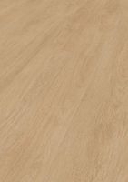 Ламинат Kronotex Дуб Элеганс кремовый D81162 — фото 1, Ламинат